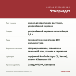 Пеларгония зональная Diana Palmer (0,1л) — что приедет