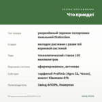 Пеларгония зональная Distinction (0,1л) — что приедет