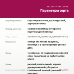 Пеларгония зональная ИРИДА За Роскошь (0,1л) — параметры сорта