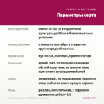 Пеларгония зональная ИРИДА За Роскошь (0,1л) — параметры сорта
