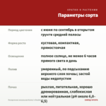 Пеларгония зональная Kenny's Double (0,1л) — параметры сорта