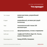 Пеларгония зональная Kenny's Double (0,1л) — что приедет