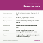 Пеларгония зональная Lara Harmony (0,1л) — параметры сорта