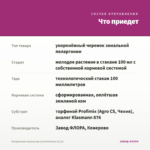 Пеларгония зональная Lara Harmony (0,1л) — что приедет