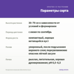Пеларгония зональная Lilian Andrea (0,1л) — параметры сорта