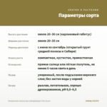 Пеларгония зональная Ludwigsburger Flair (0,1л) — параметры сорта