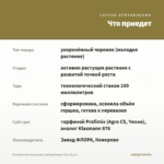 Пеларгония зональная Ludwigsburger Flair (0,1л) — что приедет