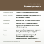 Пеларгония зональная Мара-Чарауница (0,1л) — параметры сорта