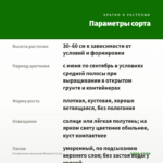 Пеларгония зональная Newport (0,1л) — параметры сорта