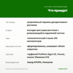 Пеларгония зональная Newport (0,1л) — что приедет