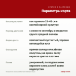 Пеларгония зональная Norrland Red Sport (0,1л) — параметры сорта