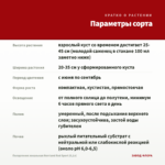 Пеларгония зональная Norrland Red Sport (0,1л) — параметры сорта