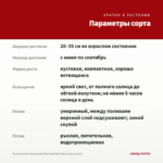 Пеларгония зональная Norrland Red Sport (срез/1шт) — параметры сорта