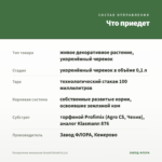 Пеларгония зональная Occold Shield (0,1л) — что приедет