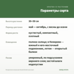 Пеларгония зональная Occold Shield (срез/1шт) — параметры сорта