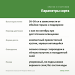 Пеларгония зональная ОЧ-Madpearl White (0,1л) — параметры сорта
