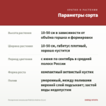 Пеларгония зональная Patricia Andrea (0,1л) — параметры сорта