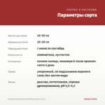 Пеларгония зональная Patricia Andrea (0,1л) — параметры сорта