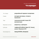 Пеларгония зональная Patricia Andrea (0,1л) — что приедет
