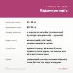 Пеларгония зональная Saga (0,1л) — параметры сорта