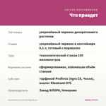 Пеларгония зональная Saga (0,1л) — что приедет