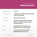 Пеларгония зональная Saga (0,1л) — параметры сорта