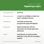 Пеларгония зональная Sutarve Klara Sun (0,1л) — параметры сорта