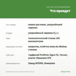 Пеларгония зональная Sutarve Klara Sun (0,1л) — что приедет