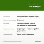 Пеларгония зональная Sutarve Klara Sun (срез/1шт) — что приедет