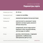 Пеларгония зональная Swanland Pink-Australien Pink Rosebud (срез/1шт) — параметры сорта