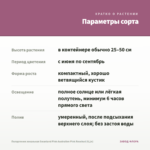 Пеларгония зональная Swanland Pink-Australien Pink Rosebud (0,1л) — параметры сорта