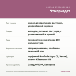 Пеларгония зональная Swanland Pink-Australien Pink Rosebud (0,1л) — что приедет