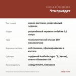 Пеларгония зональная Toscana Madame Salleron (0,1л) — что приедет