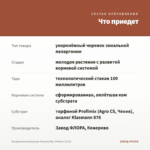 Пеларгония зональная Toscana Mrs. Pollock (0,1л) — что приедет