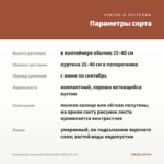 Пеларгония зональная Toscana Mrs. Pollock (0,1л) — параметры сорта