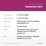 Пеларгония зональная Toscana Smart Nina (0,1л) — параметры сорта