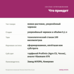 Пеларгония зональная Toscana Smart Nina (0,1л) — что приедет