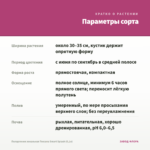 Пеларгония зональная Toscana Smart Splash (0,1л) — параметры сорта