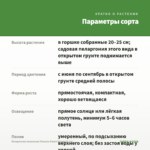 Пеларгония зональная Toscana Smart Splash (0,1л) — параметры сорта
