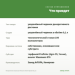 Пеларгония зональная Toscana Smart Splash (0,1л) — что приедет
