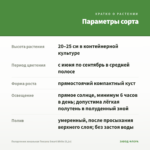 Пеларгония зональная Toscana Smart White (0,1л) — параметры сорта