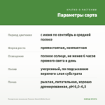 Пеларгония зональная Toscana Smart White (0,1л) — параметры сорта