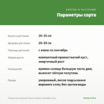 Пеларгония зональная Toscana Summer Twist White (0,1л) — параметры сорта