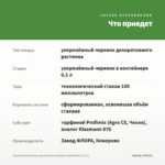 Пеларгония зональная Toscana Summer Twist White (0,1л) — что приедет