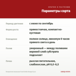 Пеларгония зональная Trend Emilia Orange (0,1л) — параметры сорта