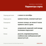 Пеларгония зональная Trend Emilia Orange (срез/1шт) — параметры сорта