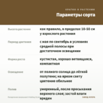 Пеларгония зональная U-Halling (0,1л) — параметры сорта