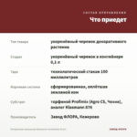 Пеларгония зональная Vancouver Centennial (0,1л) — что приедет