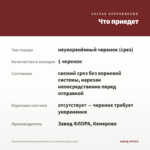 Пеларгония зональная Vancouver Centennial (срез/1шт) — что приедет