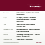 Пеларгония зональная Ю-Грушенька (0,1л) — что приедет